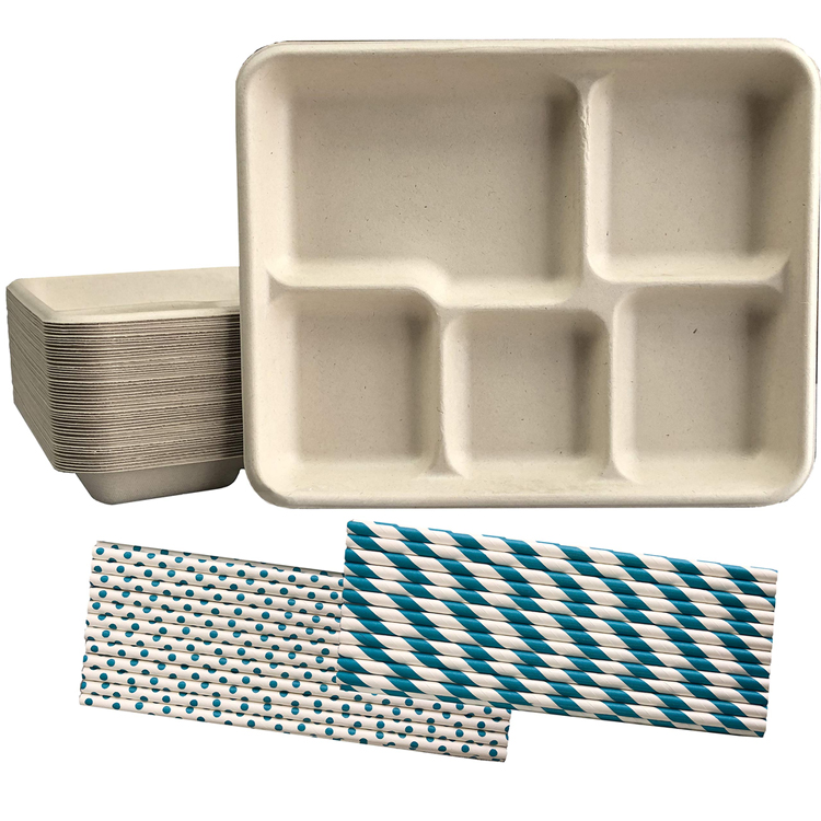 Compostable Paper 5 Compartment Takeaway Food Containers Natural Eco Disposable Bagasse Plate