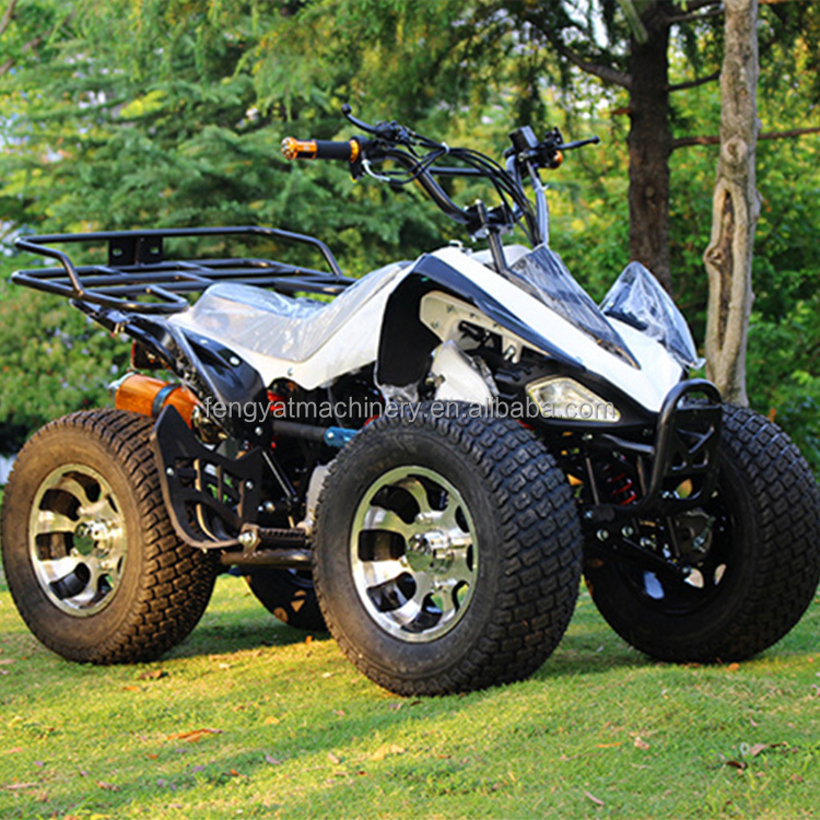 Квадроцикл FENGYAT Brave Pro 200cc Atv с цепным приводом Atv 2x4 Atv 200cc Epa Ece