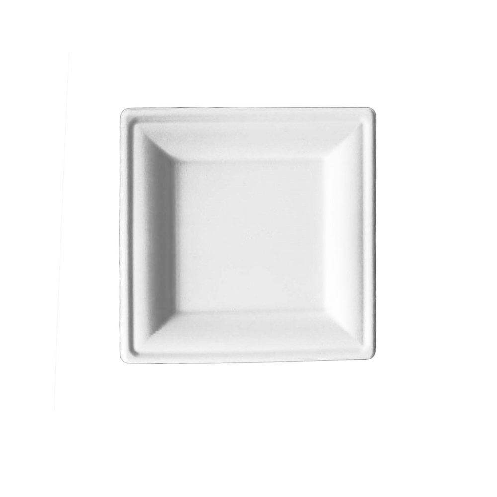 Plant fiber 6 inches square eco-friendly moulded pulp tableware