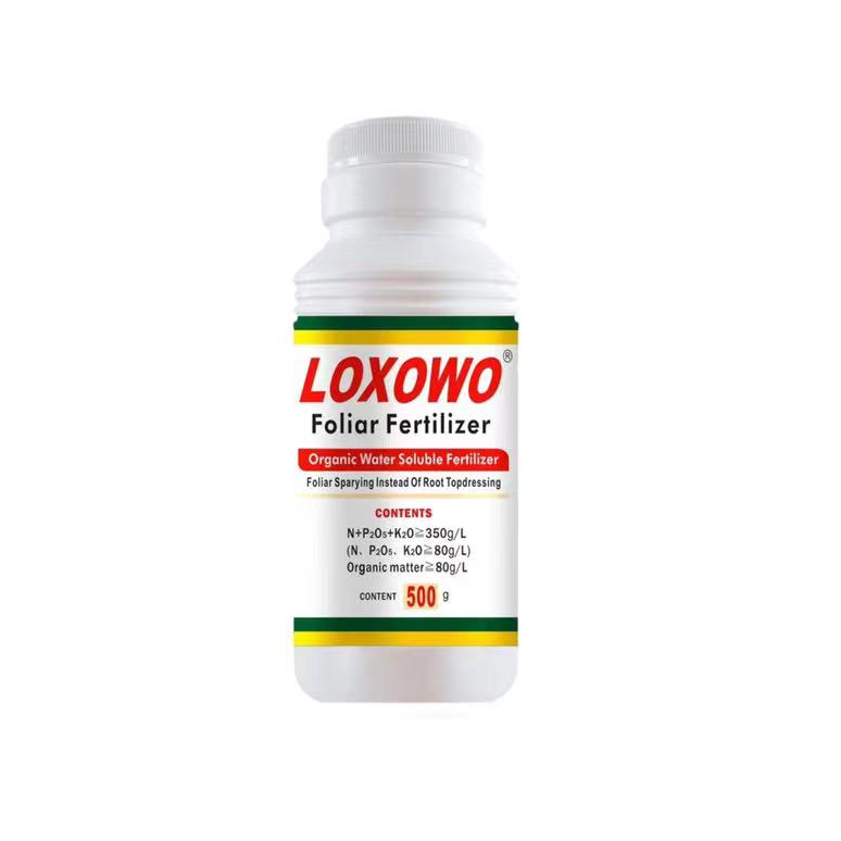 LOXOWO Species By Two is Three Factory Direct to Customers