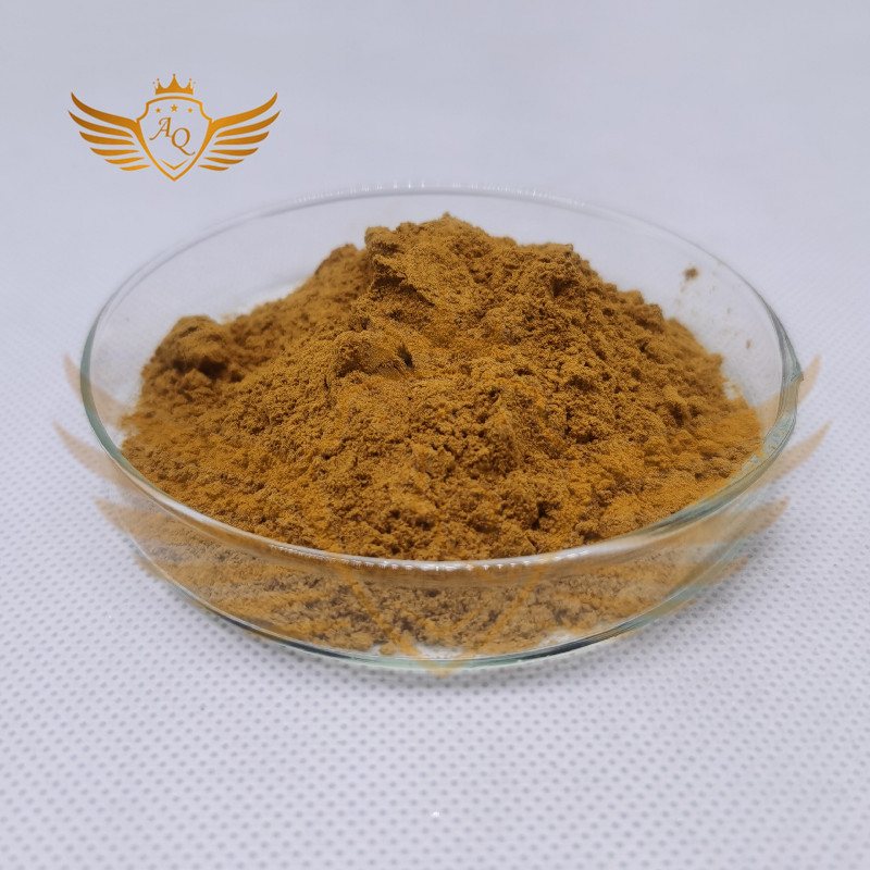 Wholesale OEM capsule garlic extract garlic extract powder Garlic Extract