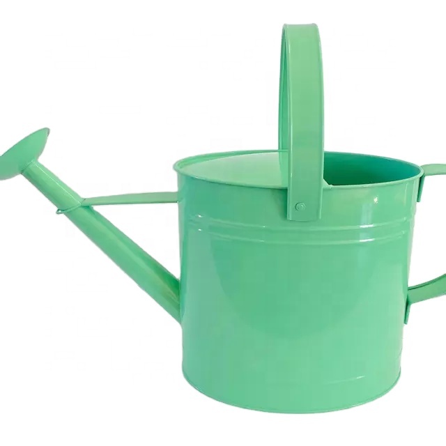 Wholesale oval shape galvanized watering can garden watering pot