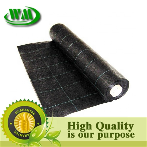 pp woven fabric plastic ground cover