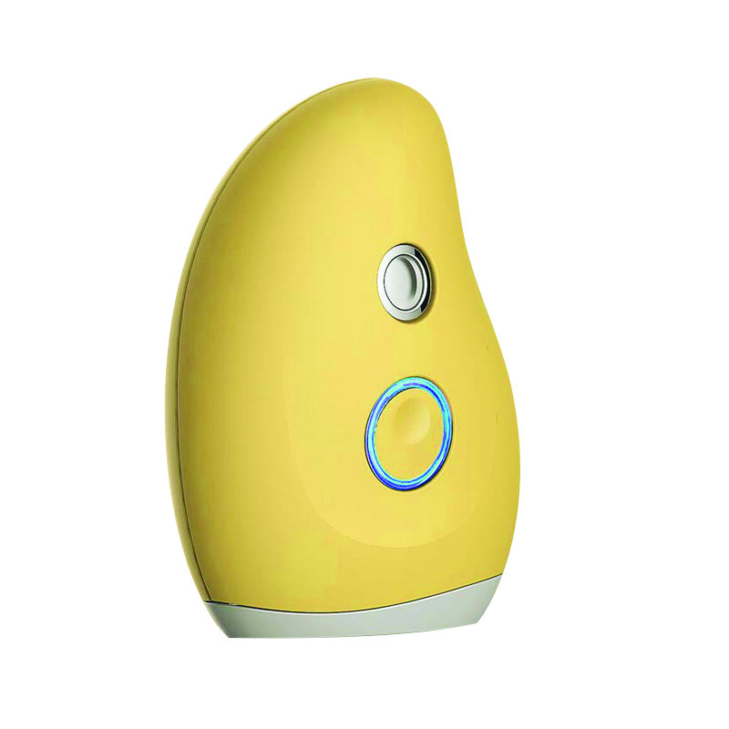 Factory price wholesale skin care cleansing spray facial moisturizer cute mango-shaped facial nano spray