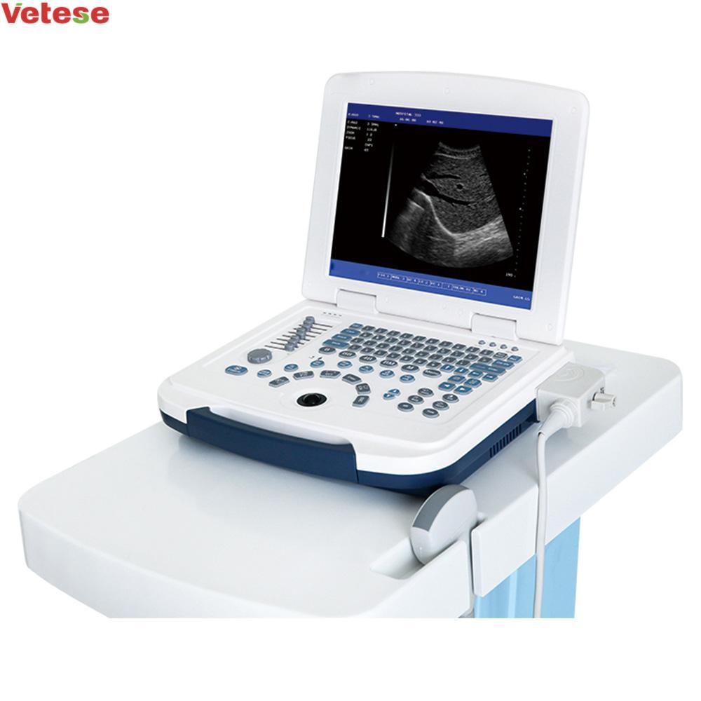 ultrasonic, optical, electronic equipment animal Veterinary ultrasound veterinary instrument products