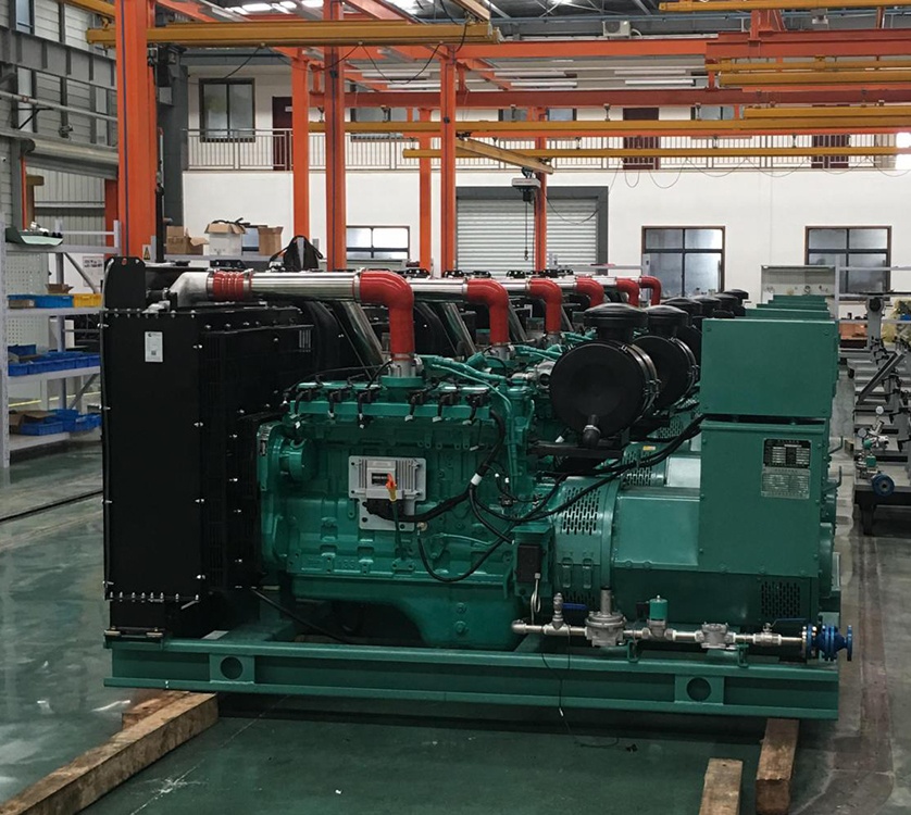 Биогазовый завод 800 кВт 1000kva биогазовый электрический генератор, работающий от двигателя Baudouin 12M33