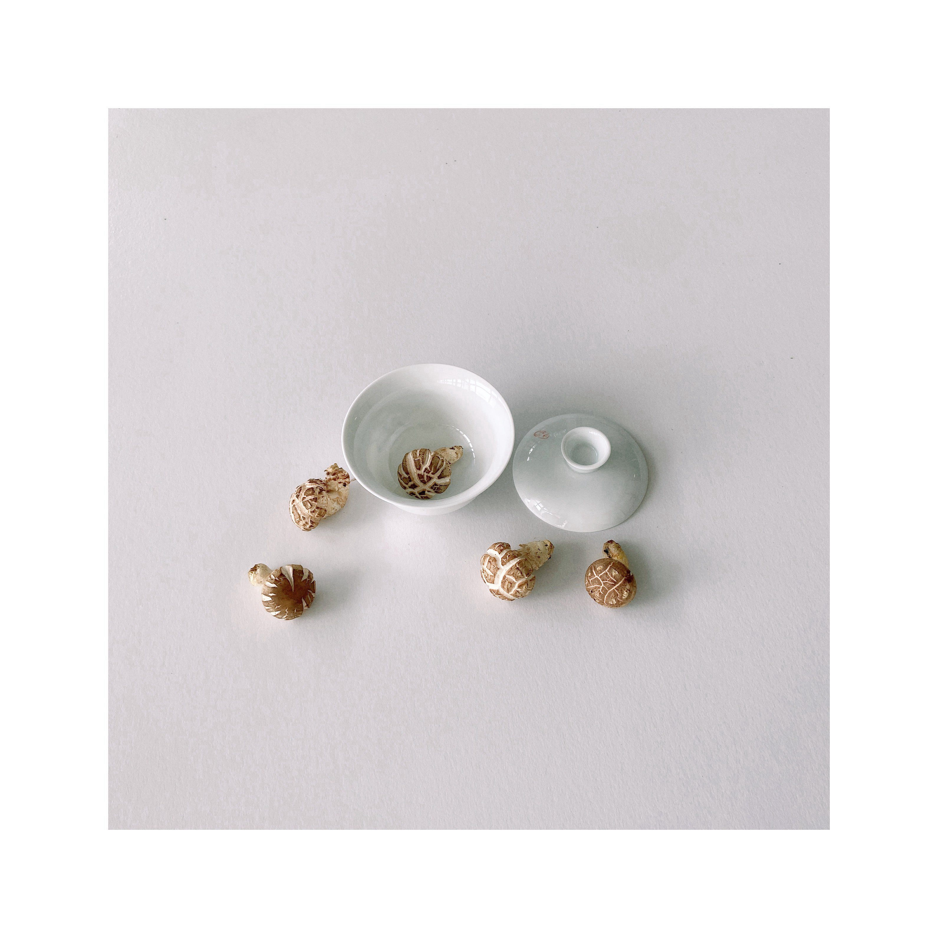 Wholesale High Quality Buy Mini Dried Fresh Shiitake Mushrooms