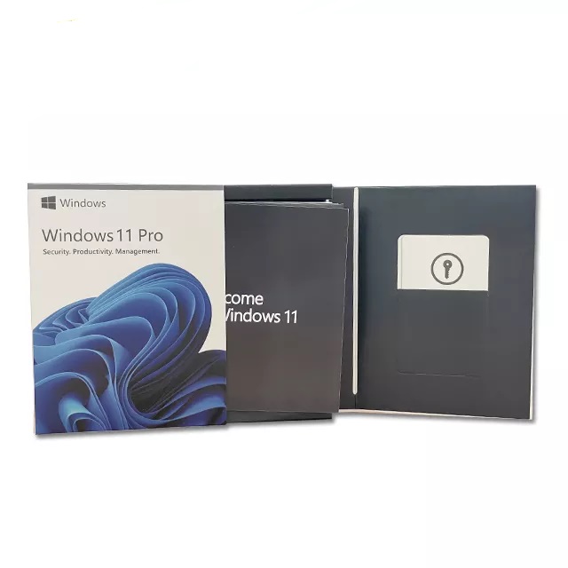 Win11 Professional Wind11 Pro USB 3,0 FPP упаковка на английском языке 12 месяцев Гарантия Бесплатная доставка DHL