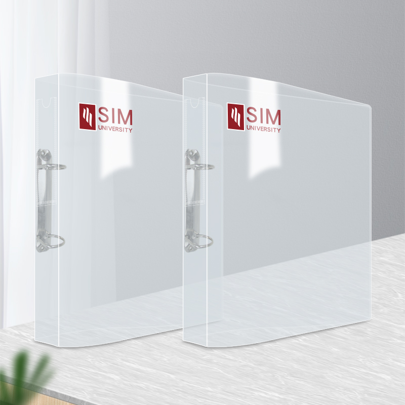 Wholesale a4 2 d ring binder adjustable ring binder pp plastic ping binder folder
