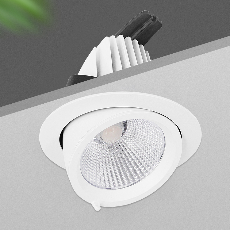High Light Efficiency Indoor Commercial Die-cast Aluminum 20W LED Spot Light Ceiling with 5 Years Warranty