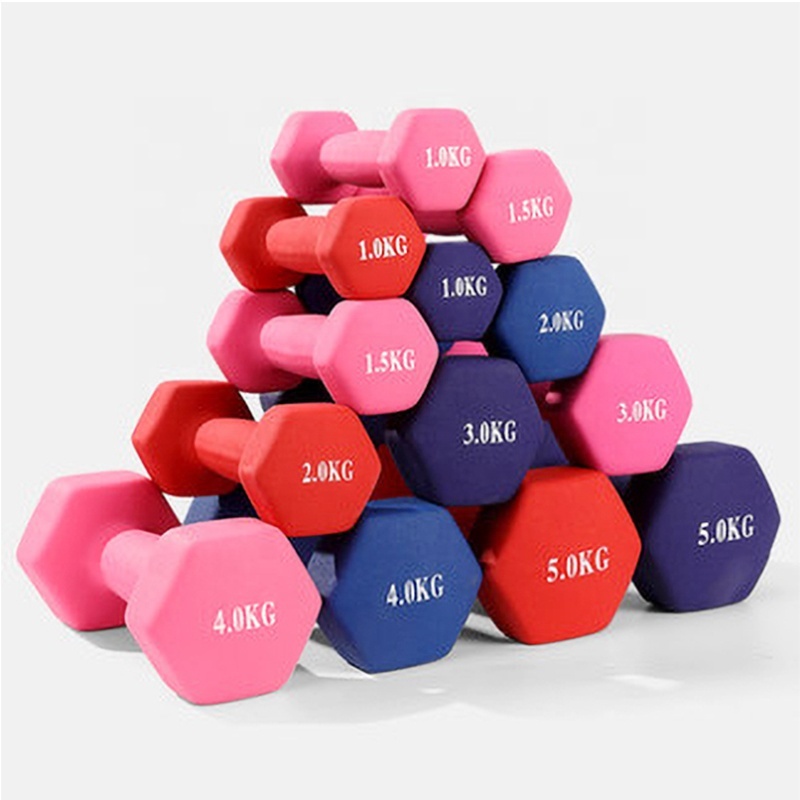 2024 Wholesale cast iron hex dumbbells suit gym PVC color dip dumbbells a pair of 2kg 10kg household frosted sports dumbbells