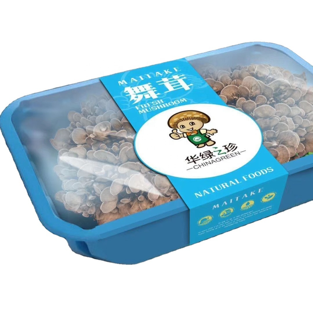 Hot sale plastic packaging containers plastic food box