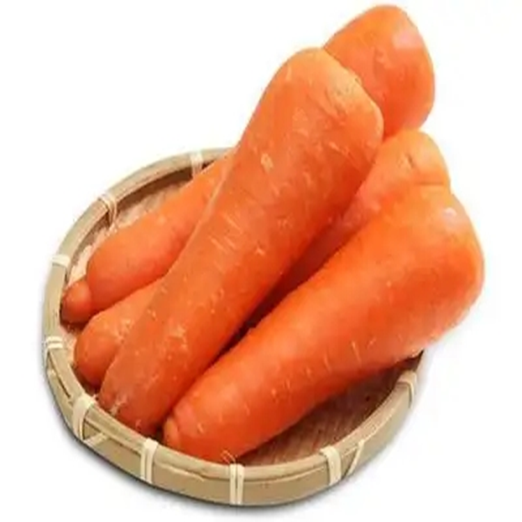 Guizhou Fresh Cheap Carrot Best Quality carrots Export from China 100% Natural Organic Carrot Fresh