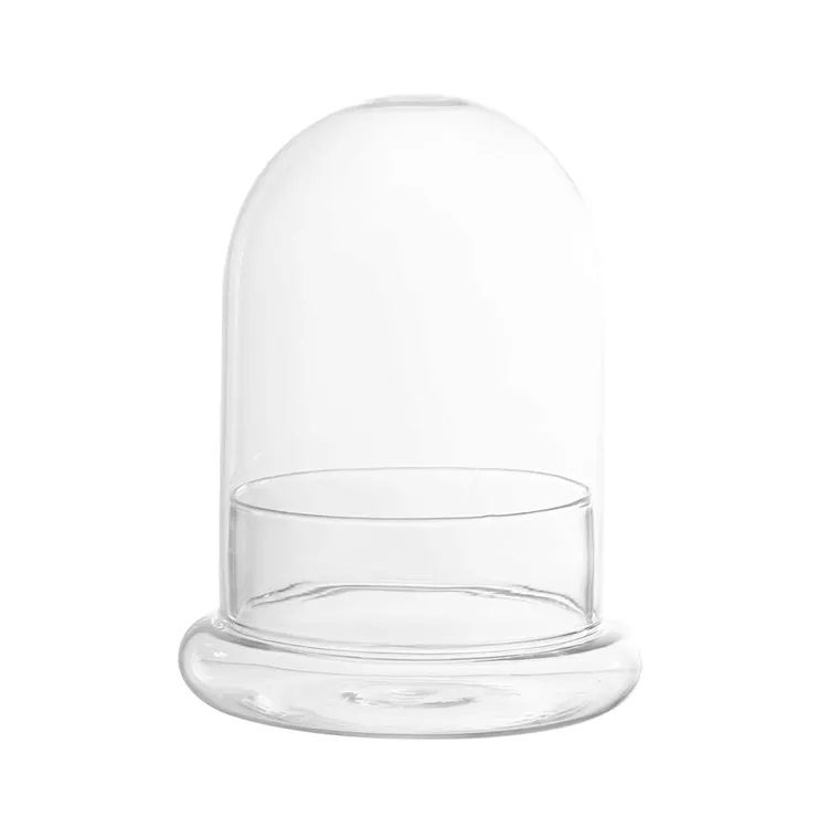 clear glass base glass dome cover for plant