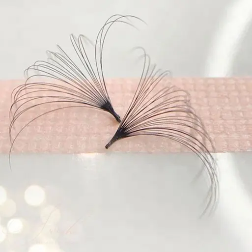Factory Wholesale Price Fast Blooming Easy Fan Eyelash Extension