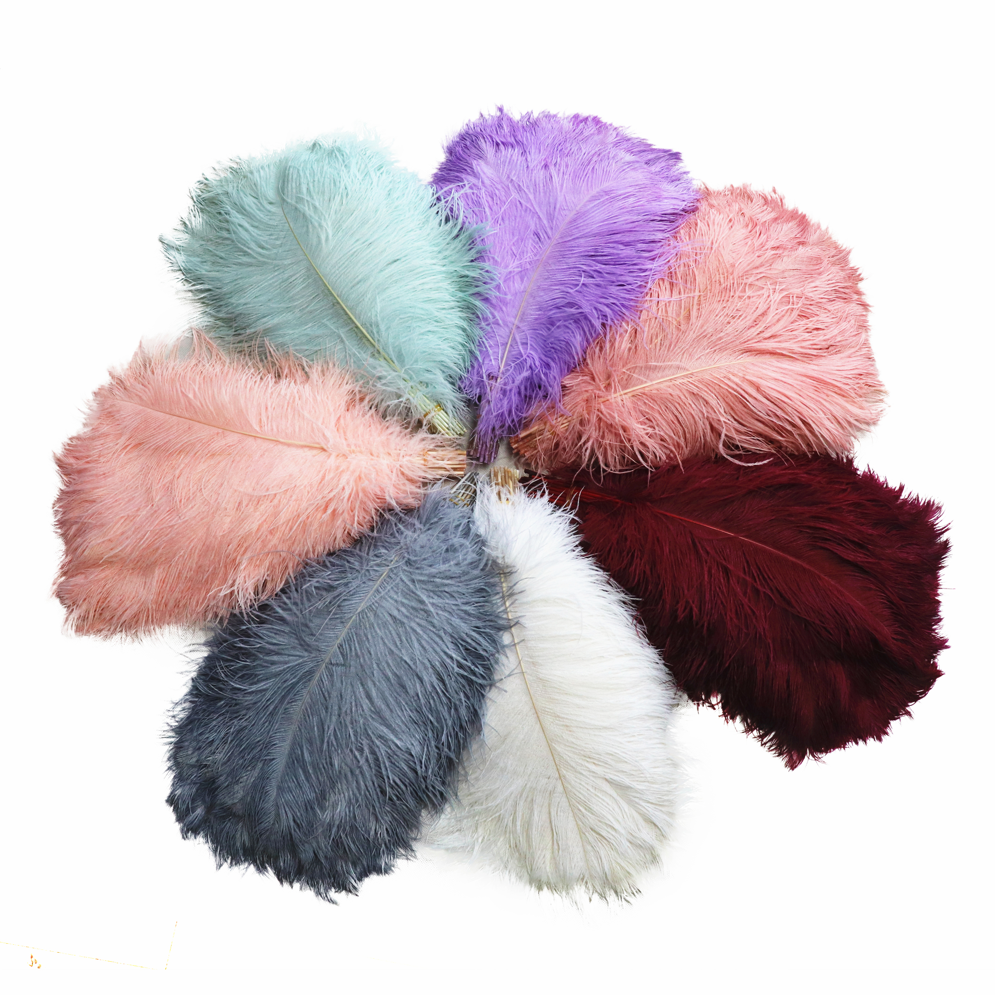 15-80cm Dyed Colorful Fashionable Top Quality Wholesale Ostrich Feathers Plumes for Wedding Ostrich Feather Tree Decoration