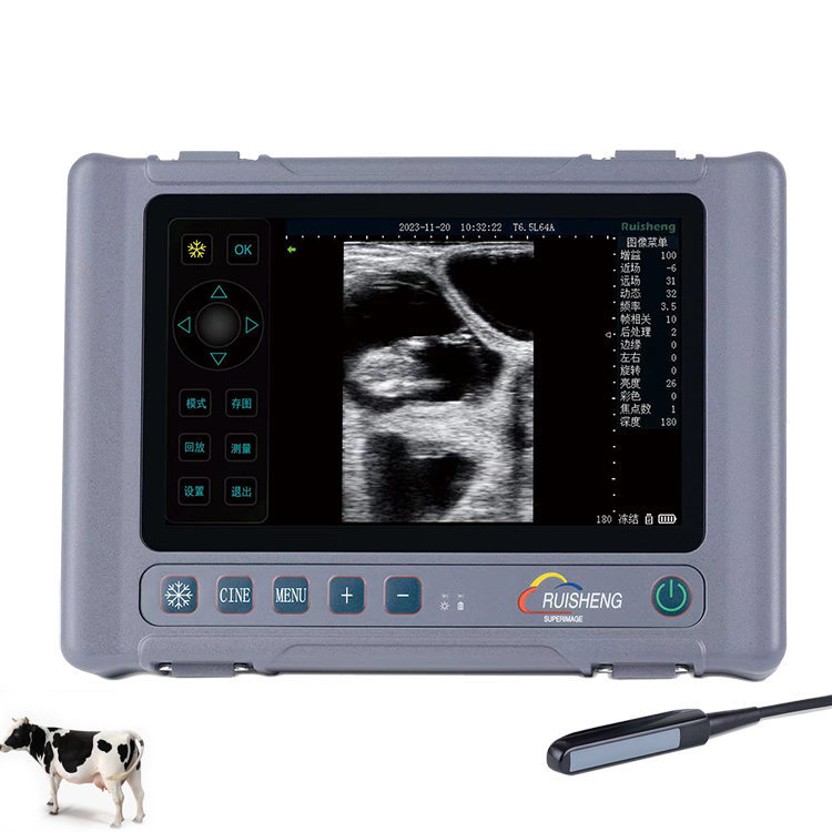 Ce Certified Medical Ultrasound Instruments Small Vet/veterinary Ultrasound Animals Dog/horse Usg Machine Price