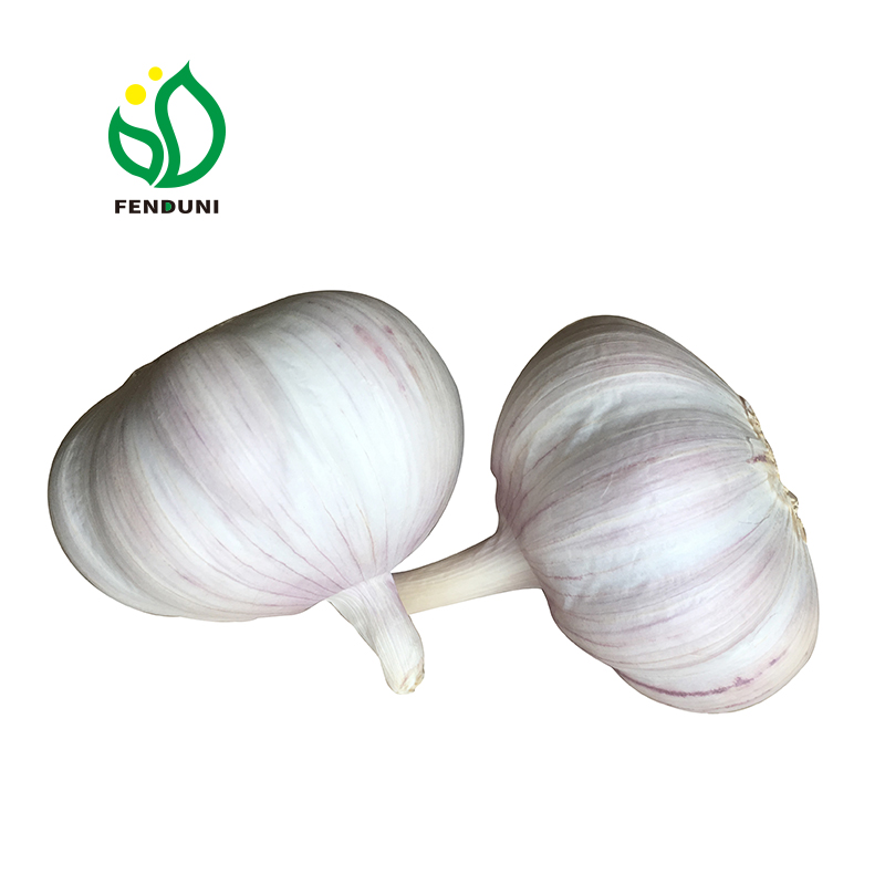 Чеснок в холодильной fresh-chinese-6p-pure-white-garlic хранения