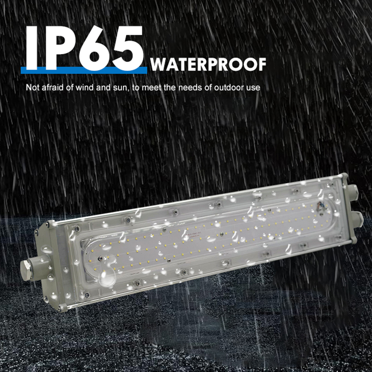New Arrival Explosion-Proof Light Ip65 Factory 50w 100w 200w SMD Explosion Proof Led Linear Light