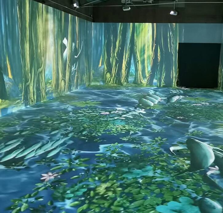 Full 360 degree Education 3D Holographic Interactive Wall Projection Software Immersive Room Experience Projection
