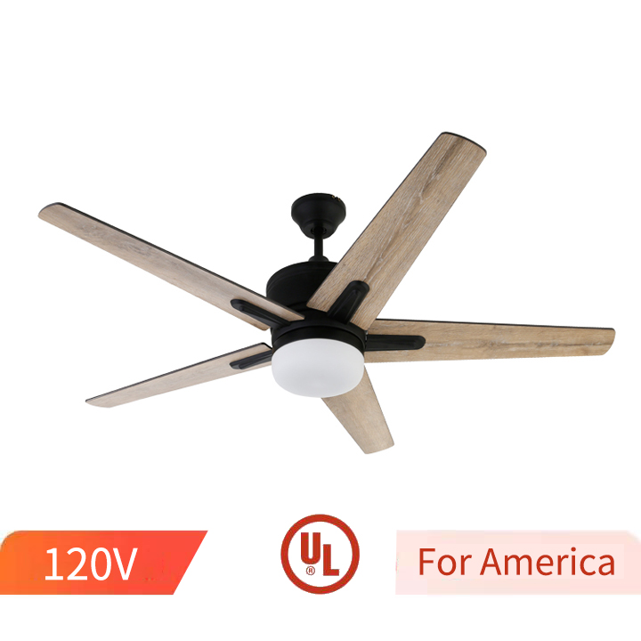 Classical designer Popular model Fashion Air conditioning Decorative Remote control Ceiling fan