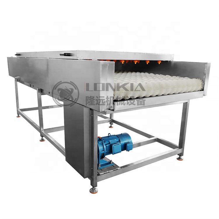 Fruit Processing Machinery Mango Jujube Avocado Orange Washer Brush Rollers Fruit Washing Machine