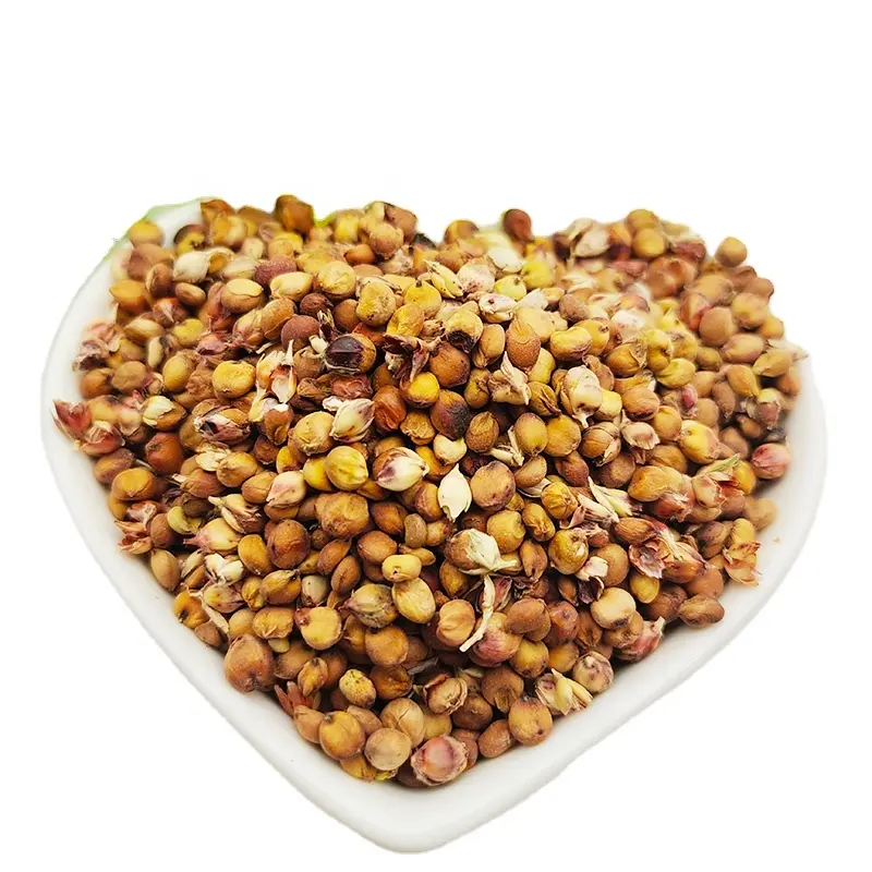 Wholesale high quality sample free with competitive price red sorghum