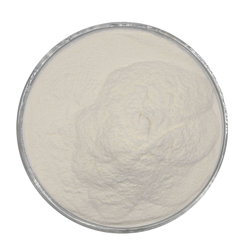 Пищевые пробиотики Lactobacillus Salivarius, порошок пробиотической смеси