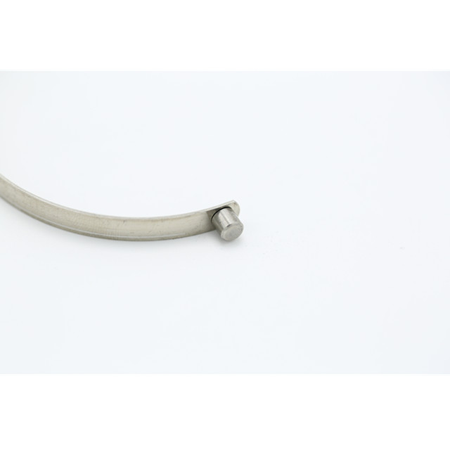 Metal single leaf springs