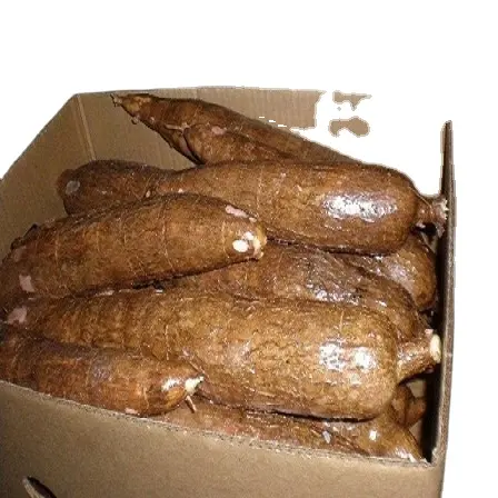 Best Quality Quality Organic Fresh Cassava