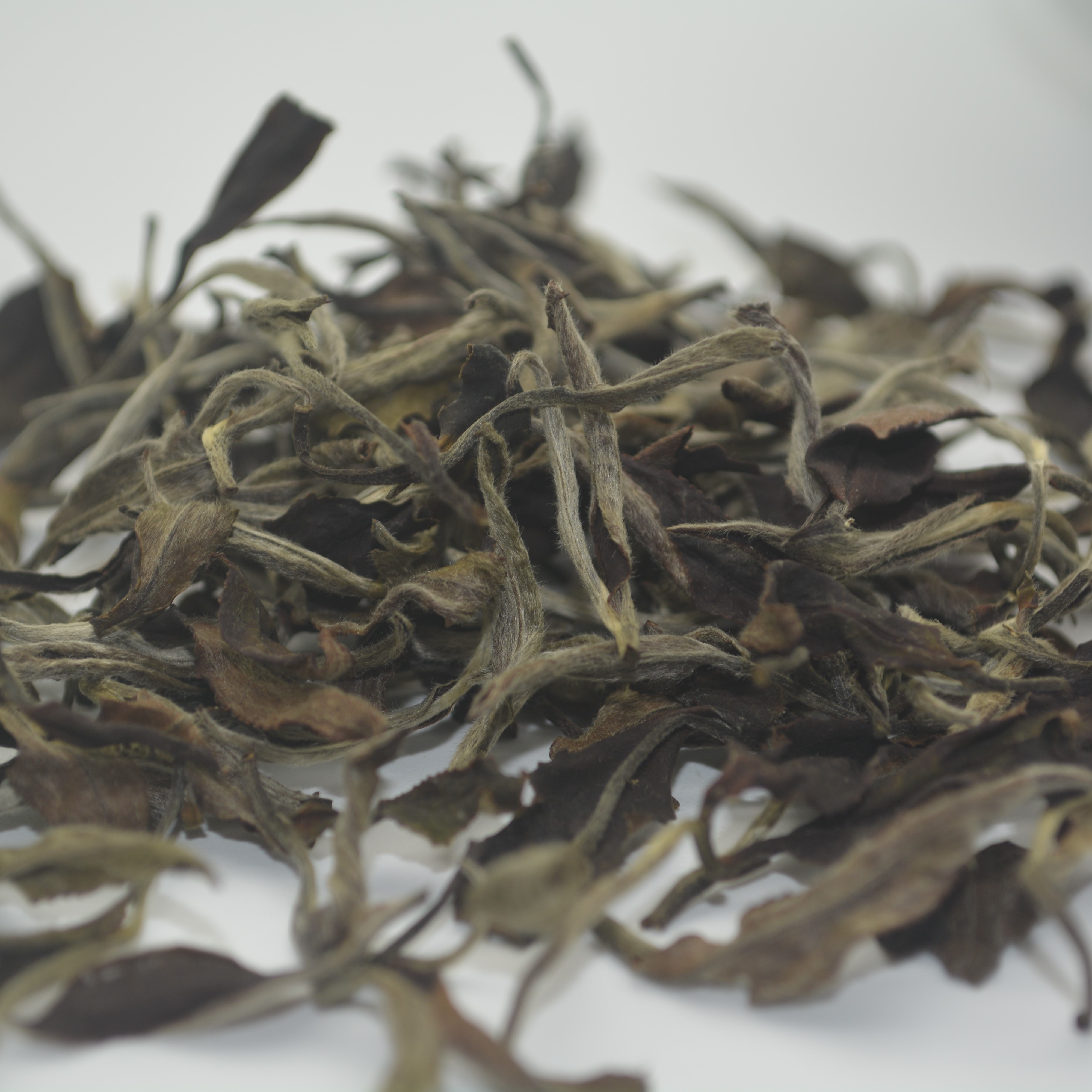 Withering mellow and normal silver needle white loose tea organic white tea leaf
