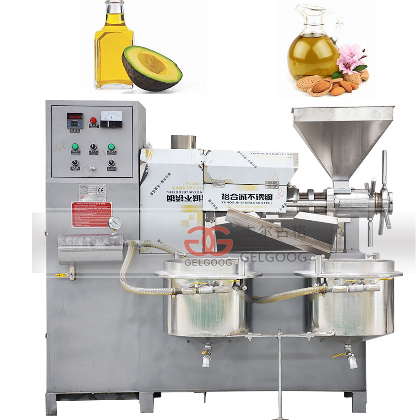GG-LX100 Moringa Seeds Oil Press Almond Avocado Oil Extraction Machine