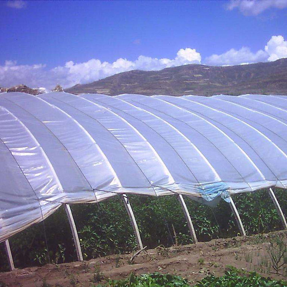 Полиэтиленовая пленка для теплиц etfe, тоннель для теплиц, пластиковая пленка для теплиц, сельское хозяйство