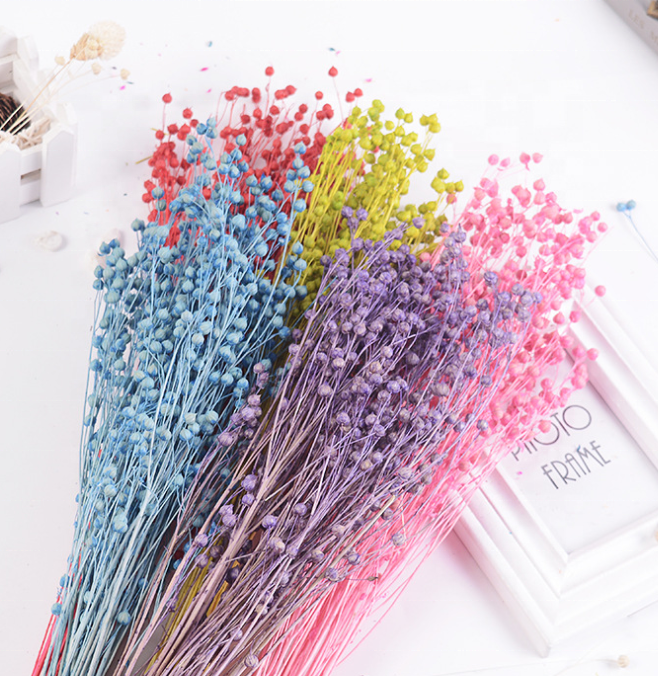 Натуральные Свежие вечные сушеные цветы jequirity bean jumble-beads