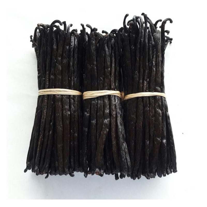 High quality selling online wholesale import madacasgar price of vanilla pod beans seeds