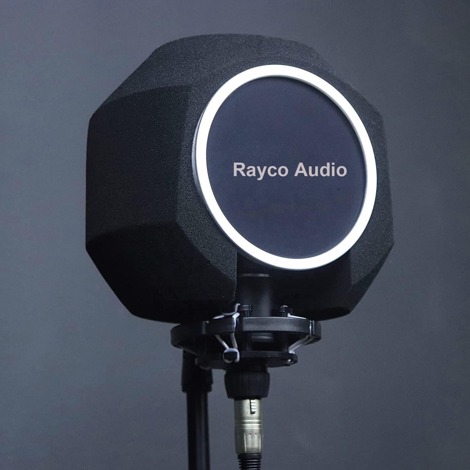 Professional Microphone Sound Isolation Shield Acoustic Screen Ball Cover For Studio Recording Mic Vocal