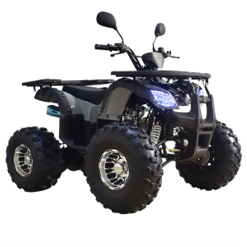 110cc/125cc/150cc/200cc пляжного автомобиля четыре колеса беговые мотоцикла нефтяное топливо для взрослых пляжное машина вездеходные автомобиля kart газа ATV