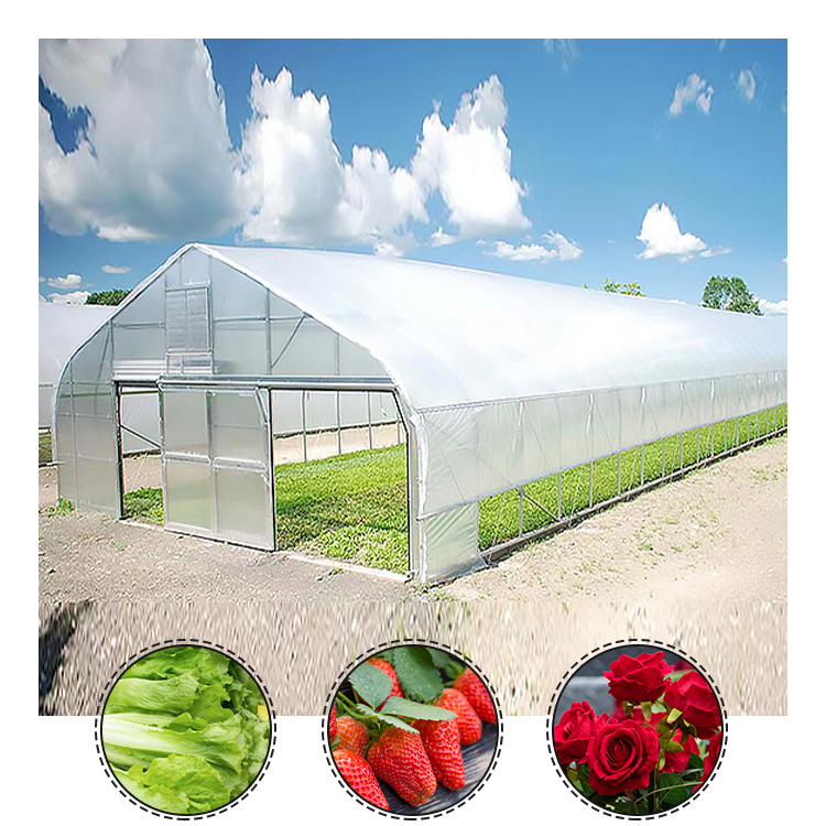 supplies winter snail farming aluminum green house metal frame Vegetable Tunnel greenhousesagriculture greenhouse kit