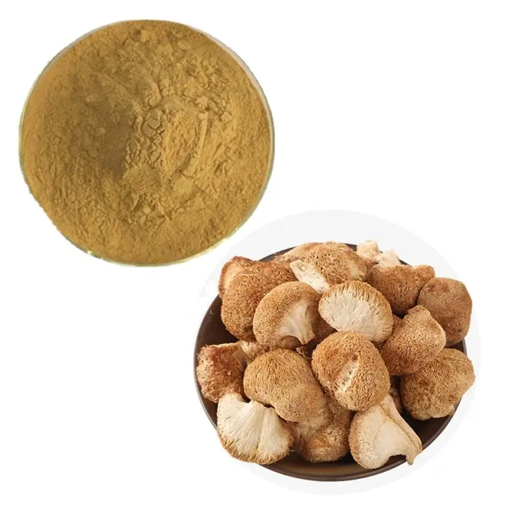 Suppliers Bulk And Wholesale Hericium Erinaceus Lion's Mane Mushroom Extract 10% Beta Glucan Powder