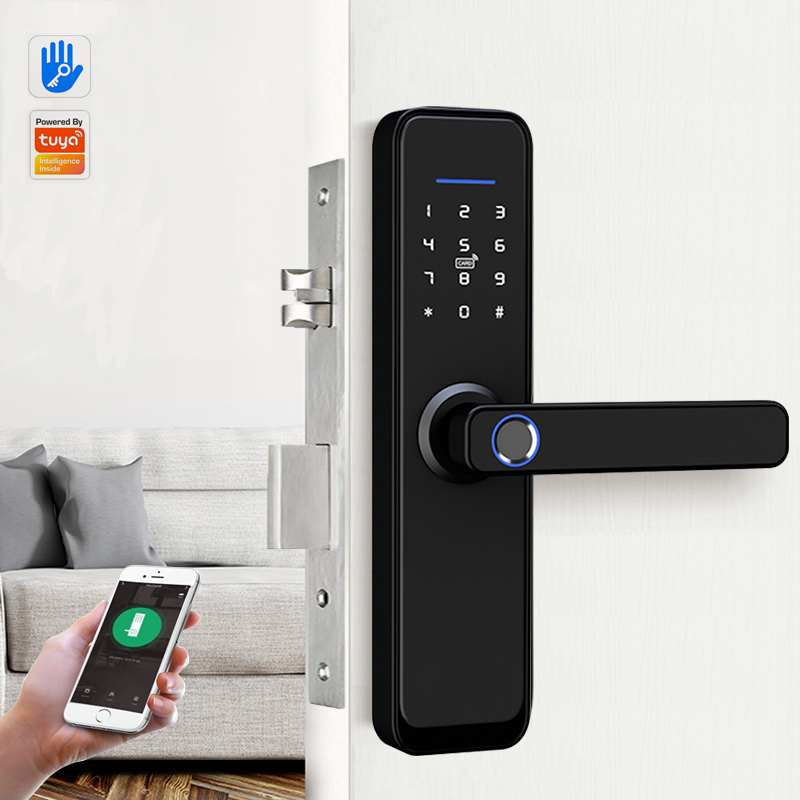 Двухсторонний цифровой Wi-Fi Противоугонный дверной смарт-замок ttlock для квартиры в домашнем стиле