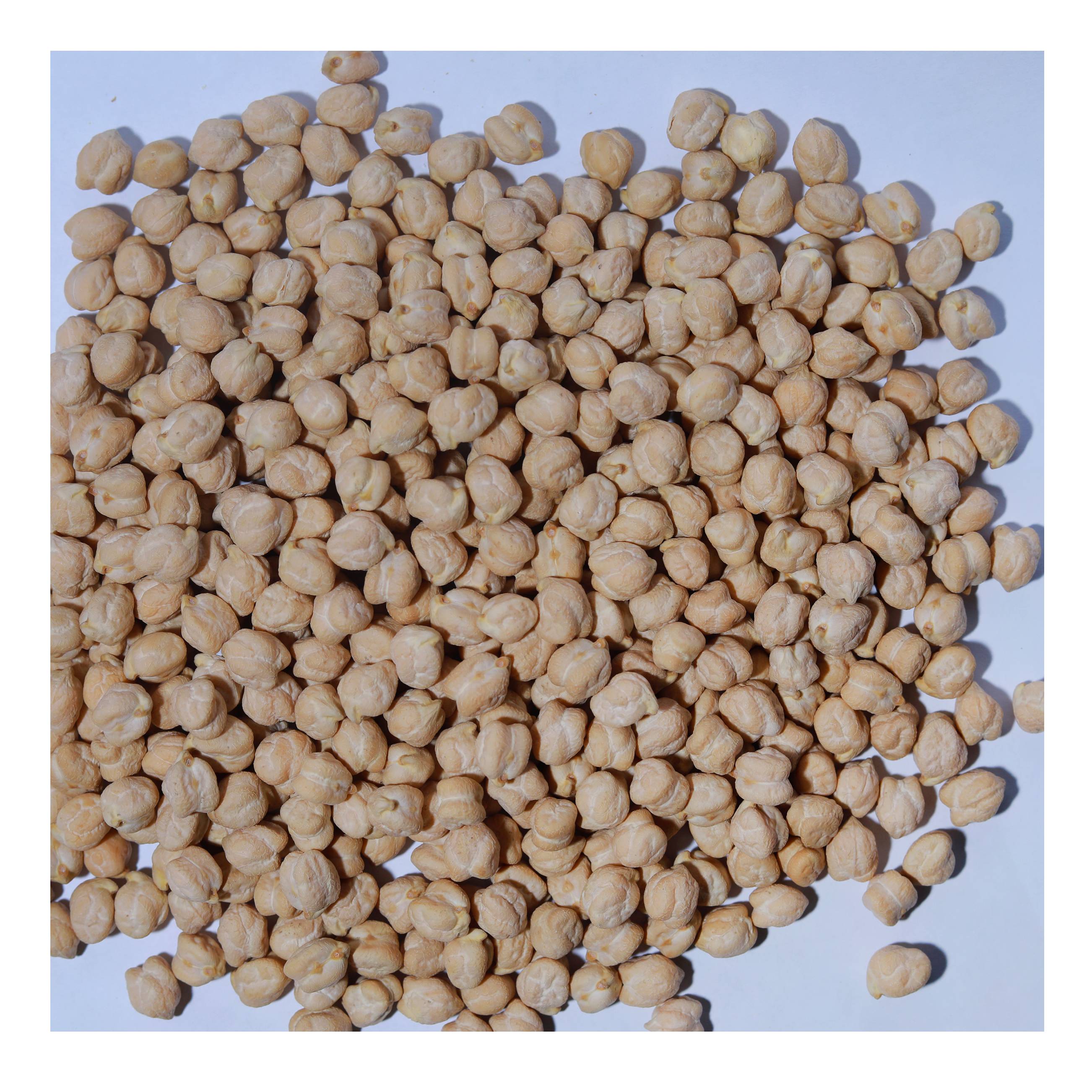High quality chickpeas in bulk