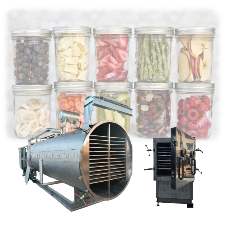 State-of-the-Art Freeze Drying Equipment in 5㎡ 10㎡ 20㎡ 30㎡ and 60㎡ for Efficient Food Processing and Preservation