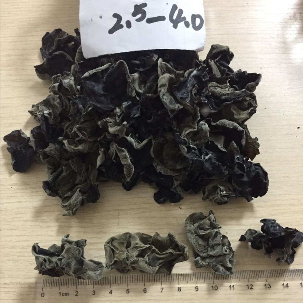 factory sell wholesale Dried black fungus mushroom