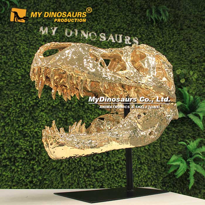 MY DINO GS006 Indoor Decoration Custom Golden T Rex Skeleton Head