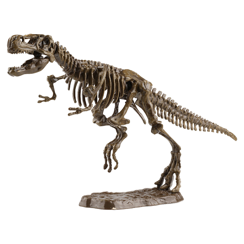 QS HIgh Quality Archaeology Animal Model DIY Self-built Bone Puzzle 3D Dinosaur Skeleton Toys for Kids 3-8