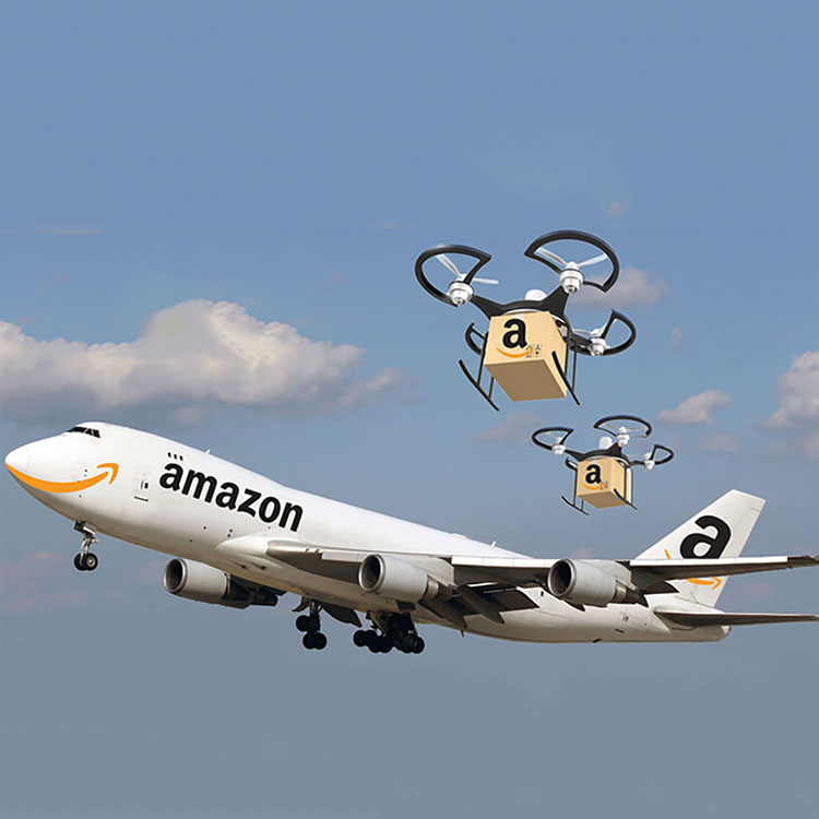 Воздушный морской экспедитор, Китай в США, Европа, Fba, Amazon, судоходный агент Ddp от двери до двери