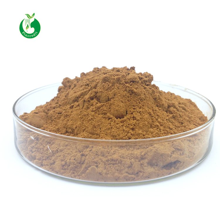Anti aging 95% organic grape seed extract powder