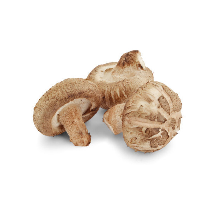 Primary Shiitake Color Without Sulfur Free Pick Magic Growing Shiitake Mushroom Snack