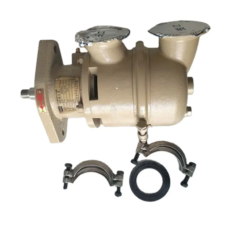 Marine Diesel Engine Spare Parts 6BT Sea Water Pump Z3900415 3900415