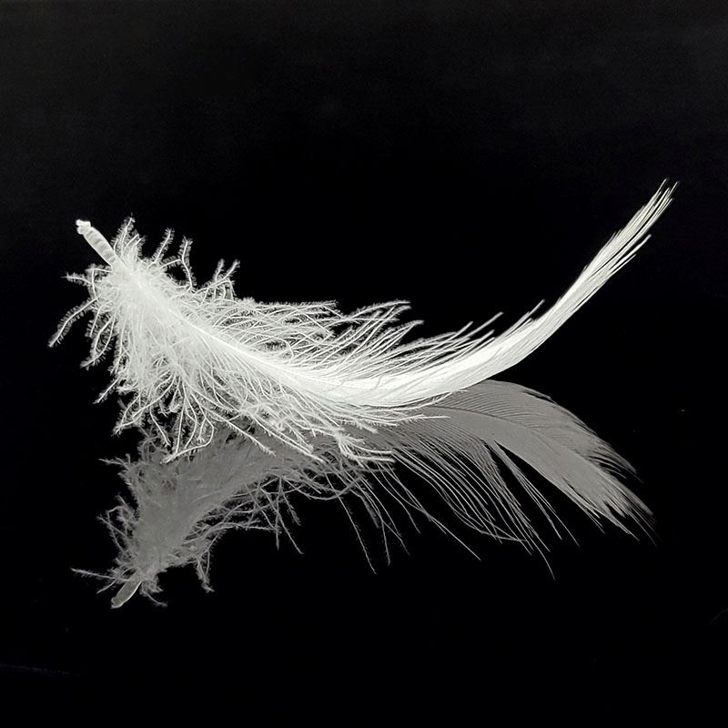 Cheap 100% Washed Natural Goose Down Fill Goose Down Feather For Sale